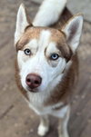 Jack - Photo 1