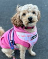 Penny - Photo 1