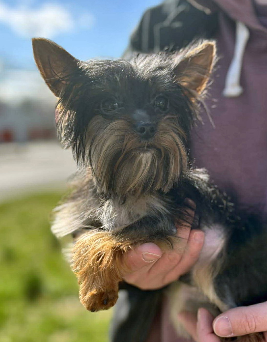 Large image of Bentley