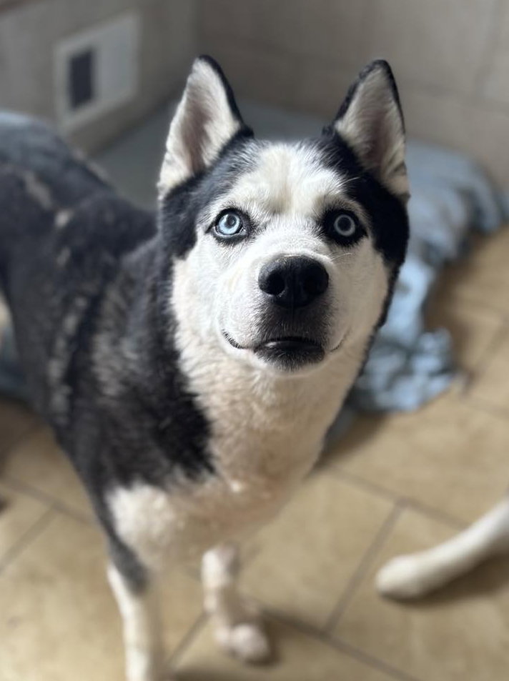 Image of Lou