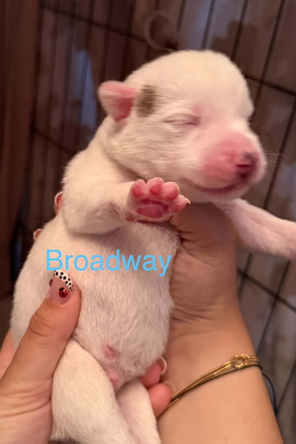 Broadway