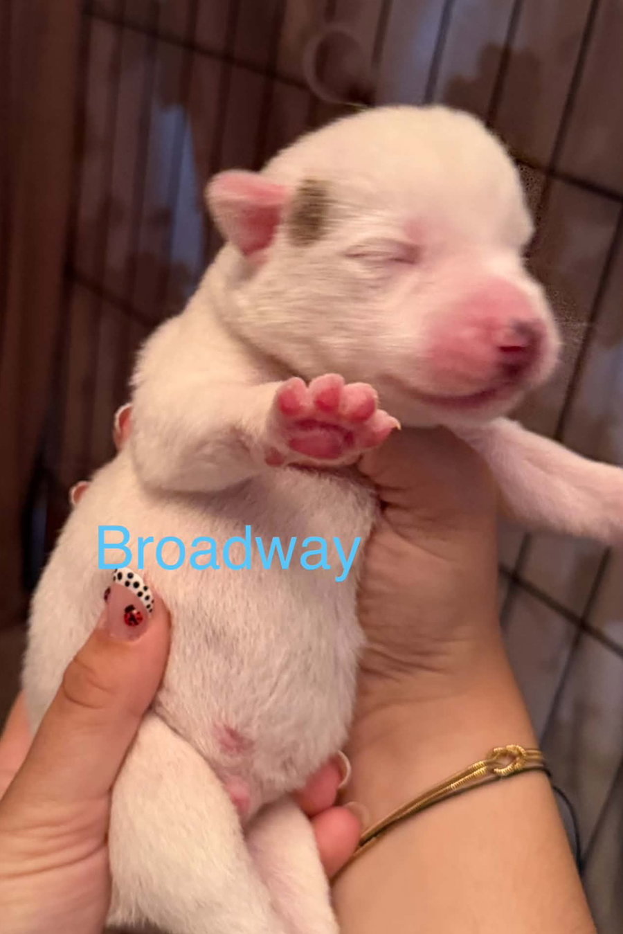 Broadway