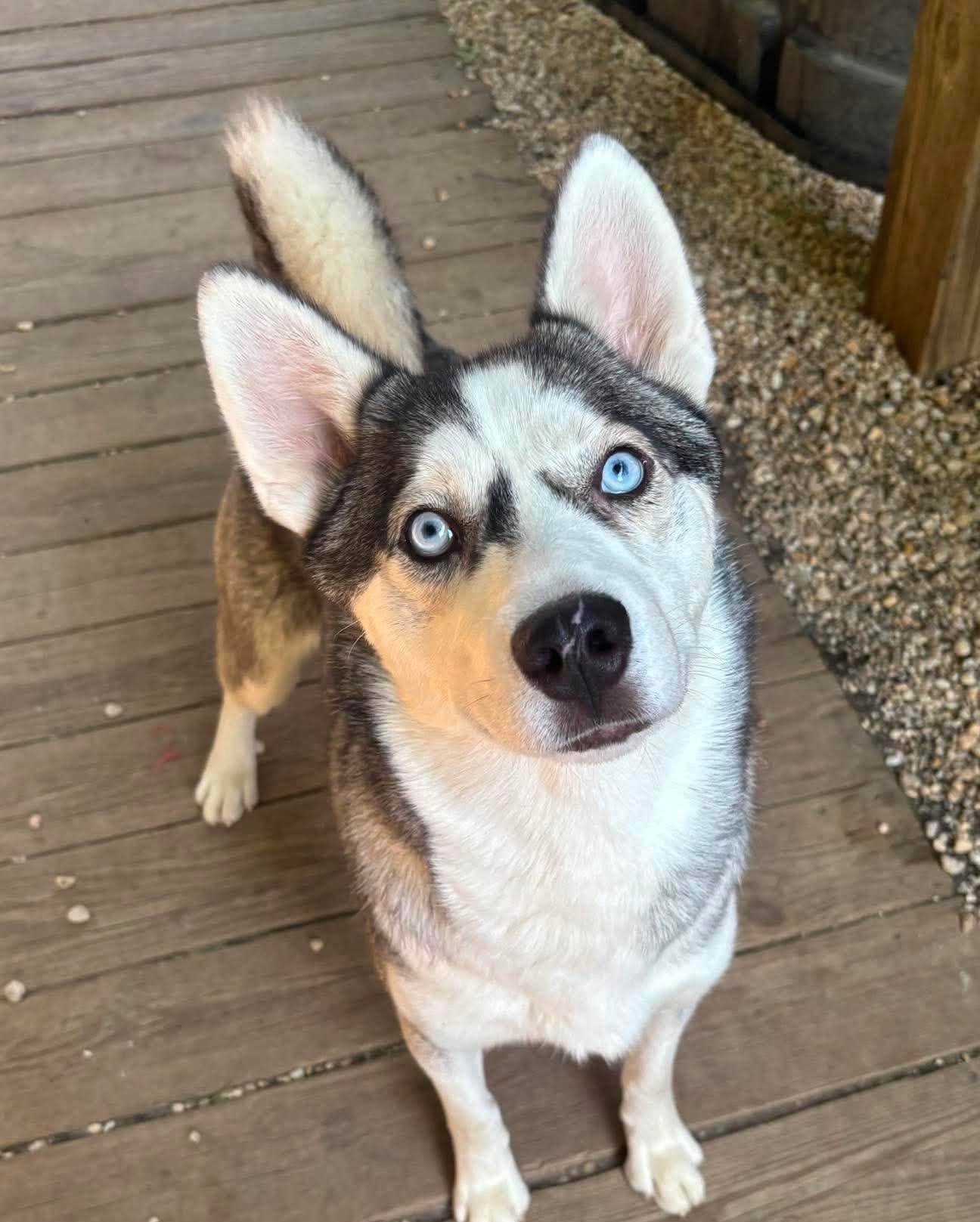 Image of Fred