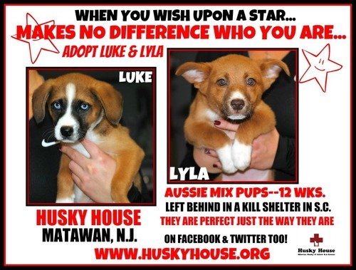 Large image of Luke & Lyla