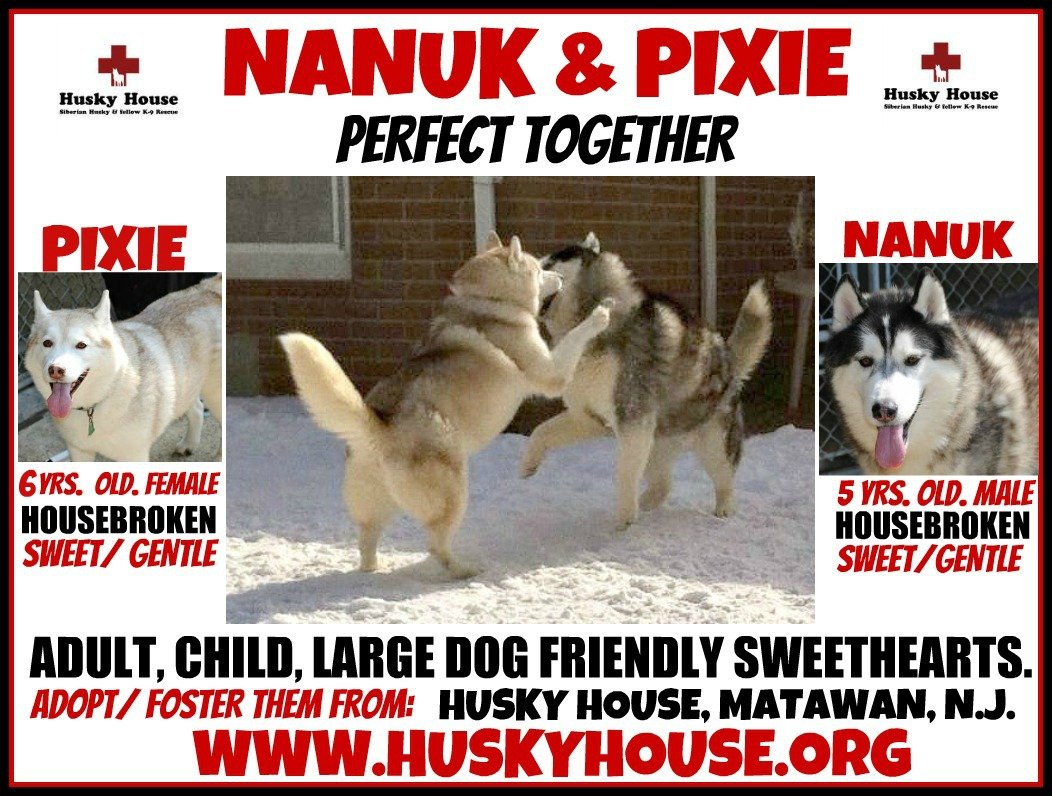 Image of Nanuk & Pixie