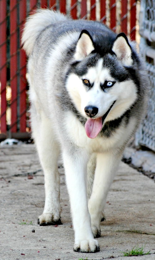 Azul photo 5