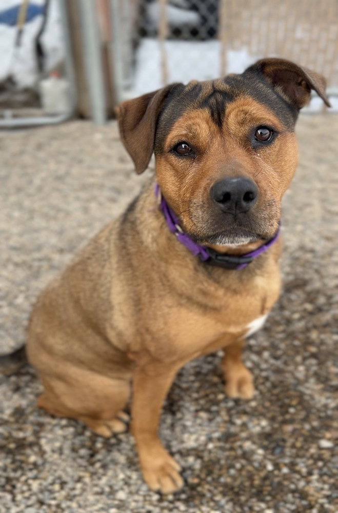 Maggie