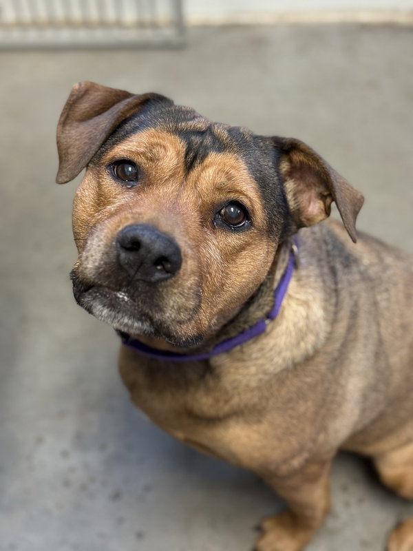 Maggie
