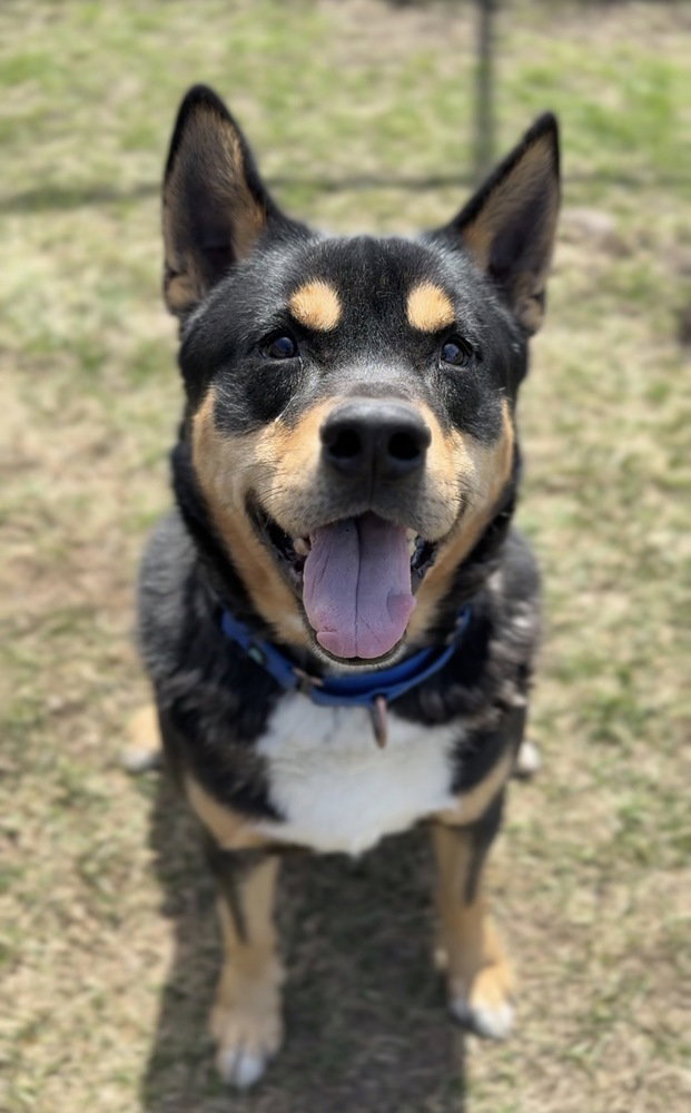 Kane