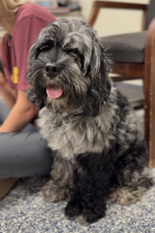 Oakley