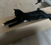Will (+ Sibling) - Photo 4