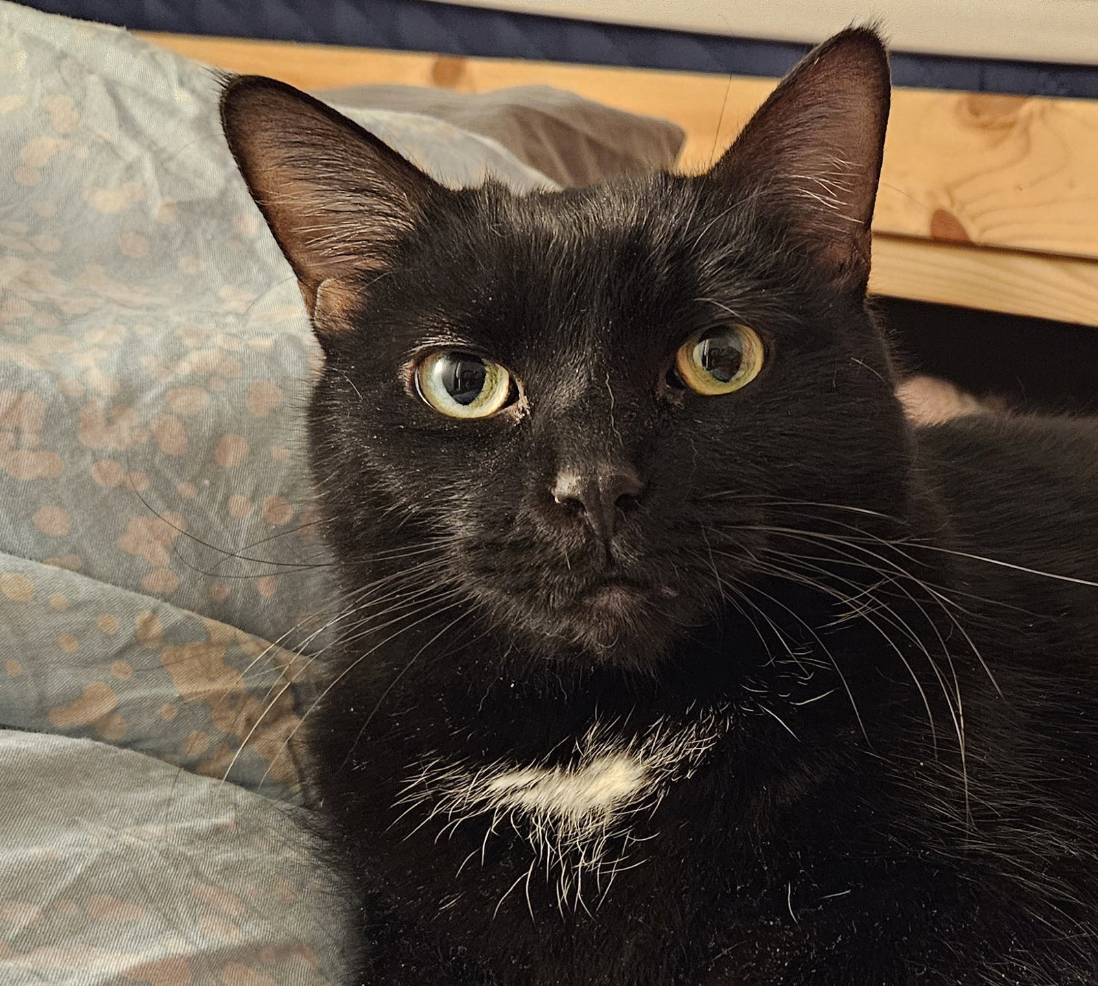 Sadie (Happy SIngle) Image