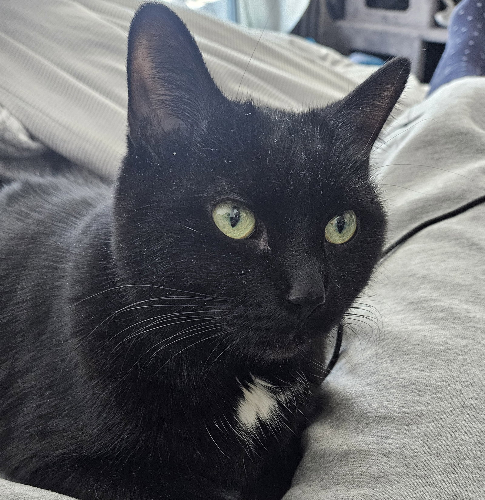 Cinder (Happy Single) Image