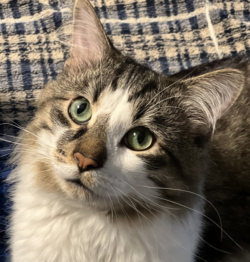 Gary (Happy Single)