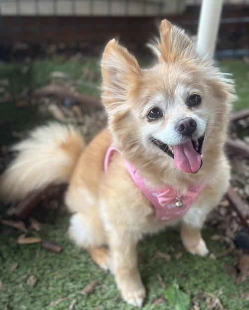 Maggie photo 4