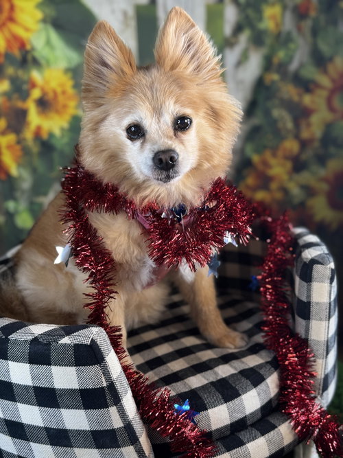 Maggie photo 2