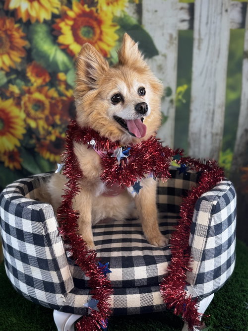 Maggie photo 5