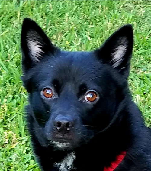 Fiona, photo 7