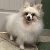 Caspian - Photo 2