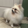 Caspian - Photo 3