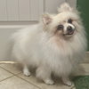 Caspian - Photo 4