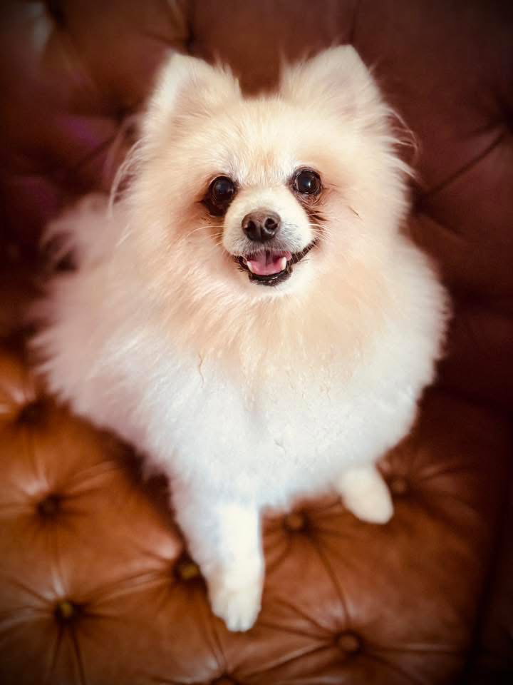 Caspian