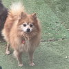 Cheetos - Photo 2