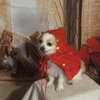 Frosty - Photo 2