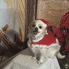 Frosty - Photo 3