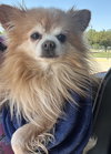 Edward - Photo 4