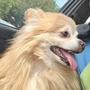 Edward - Photo 3