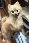 Tequila - Photo 3