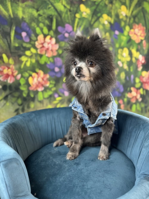 Teddy Alexander, photo 5