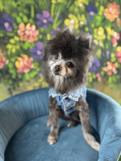 Teddy Alexander, photo 6