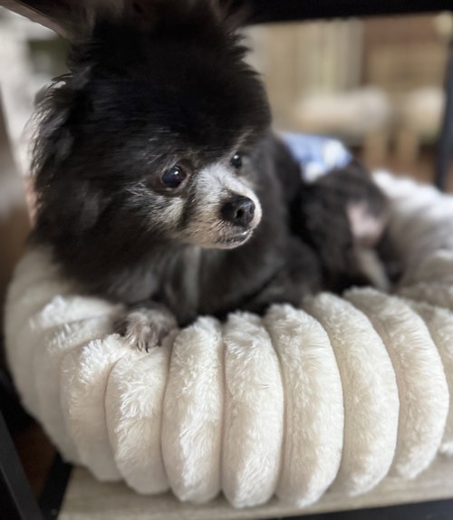 Teddy Alexander, photo 8