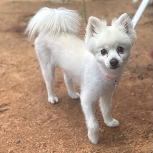 CoCo, photo 7