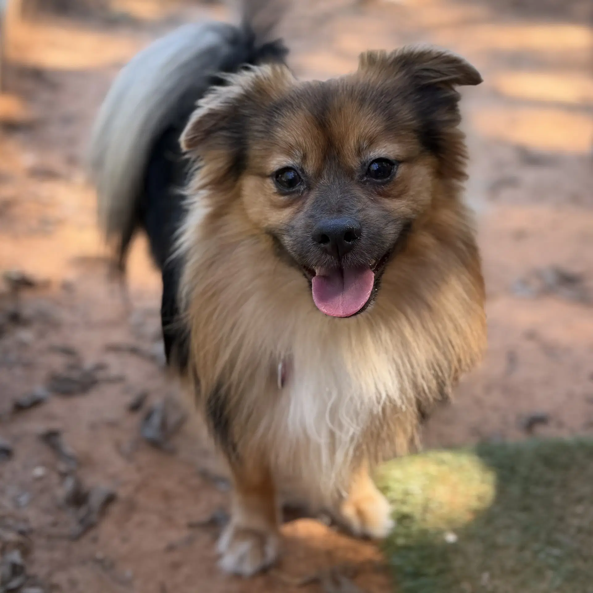 Bixby image 2