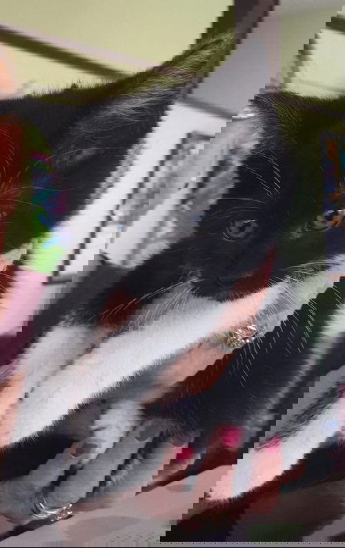 Pazazz