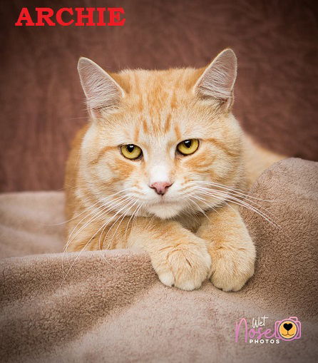 Archie