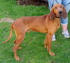 Buster