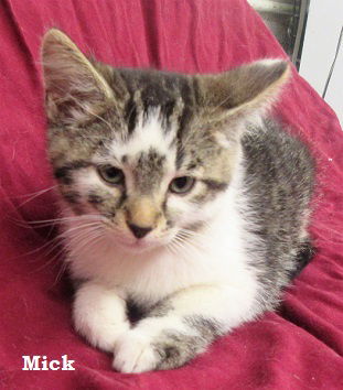 Mick
