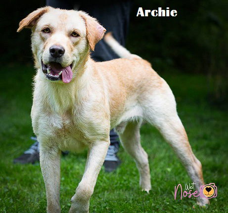Archie