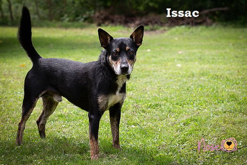 Issac