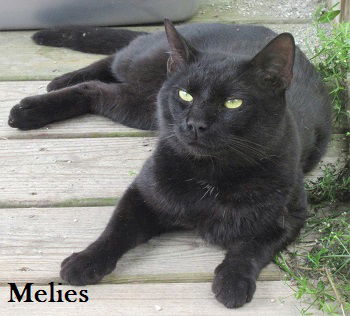 Melies