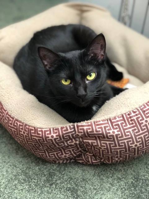 Jinxy: Meet me at Isner Law Office