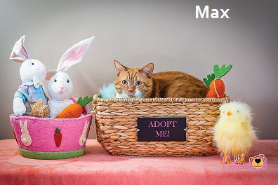 Max