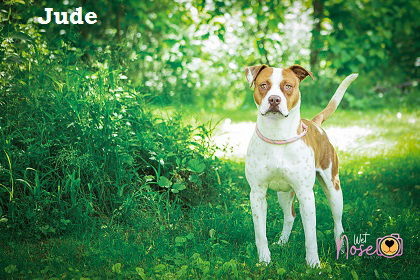 Jude