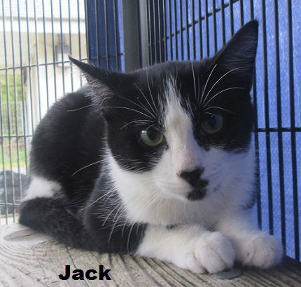 Jack