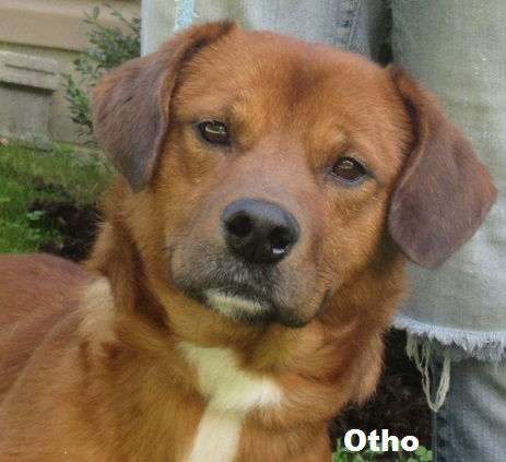 Otho