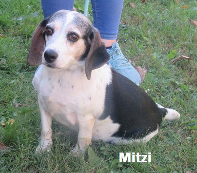 Mitzi